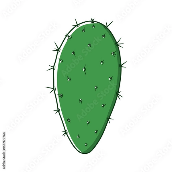 Fototapeta Illustration of a green prickly pear cactus pad with spines on a white background.