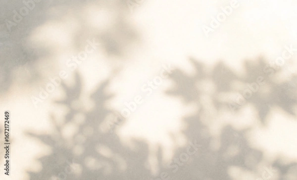 Fototapeta Abstract leaf shadow and light blurred background. Natural leaves tree branch shadows and sunlight dappled on white concrete wall texture for background wallpaper and design, shadow overlay effect