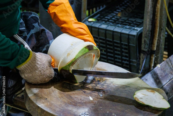 Fototapeta Skilled Hands Preparing Fresh Green Coconut with a Sharp Knife in a Processing Plant