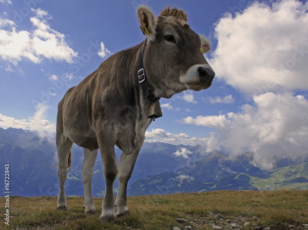 Obraz Jestem najwspanialszy