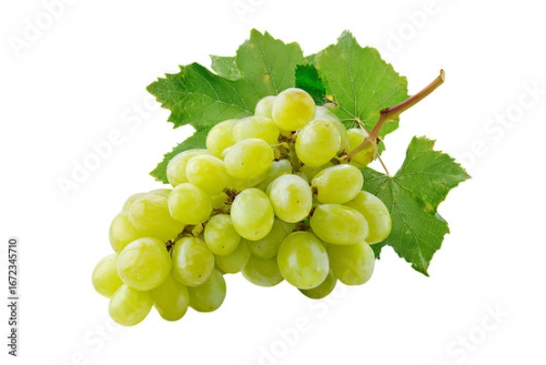 Fototapeta a bunch of green grapes with leaves on an  isolated on a transparent background in PNG format.