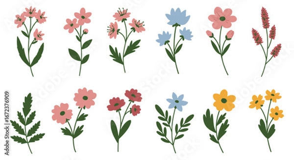 Fototapeta A collection of colorful flowers in various styles and colors on white background