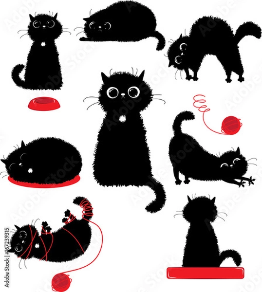 Fototapeta Black kitty playing