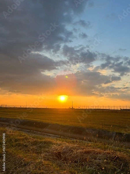 Fototapeta Sunset over golden fields with fence and colorful sky, A golden sunset over a grassy prairie with a rustic wooden fence,  Sunset over a barbed wire fence and rural field, golden light.