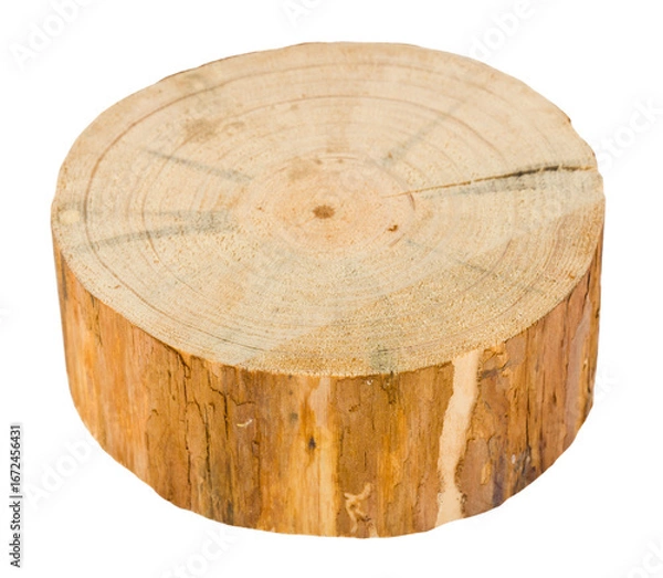 Fototapeta Wood block, tree trunk cut isolated on white background.