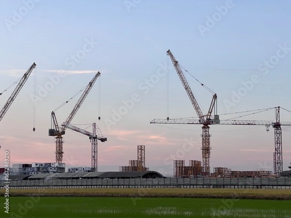 Fototapeta Construction tower cranes on a farm site. Yellow construction tower crane isolated on blue sky with white clouds background and front have farm rice. 
