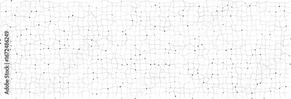 Fototapeta Geometric topographic pattern with sci-fi complex network lines and subtle black dots, ideal for backgrounds, technology, or science themes, isolated on white background vector illustration