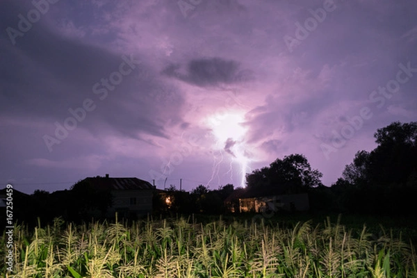 Obraz Thunderstorm with lightning on the field
