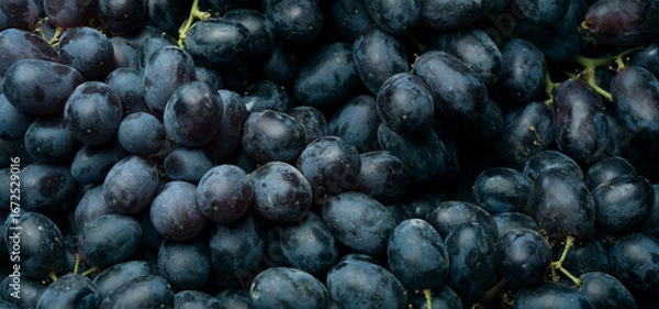 Obraz Red grapes close up background, black grapes texture