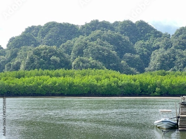 Fototapeta A river with a green forest on either side, big mountain side of river in Krabi Thailand.