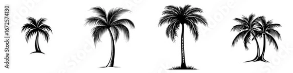 Fototapeta The image of a lone palm tree is one of simplicity and elegance, set against a white background with its silhouette on full display, evoking feelings of a tropical paradise and tranquility