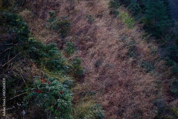 Fototapeta Abstract shape of the nature with flow motion with dead grass and green background