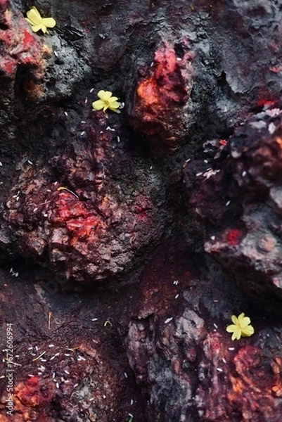 Fototapeta Isolated abstract shape and colour background with hard texture