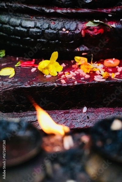 Obraz Burning fire and colourful abstract background