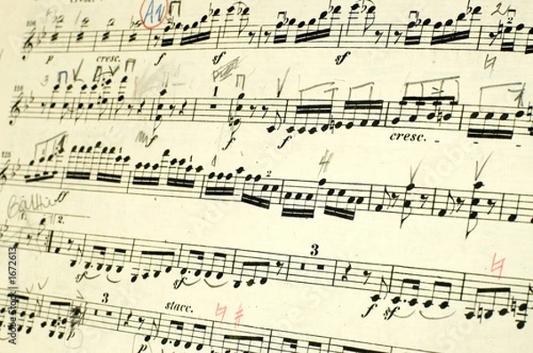 Fototapeta semibreve