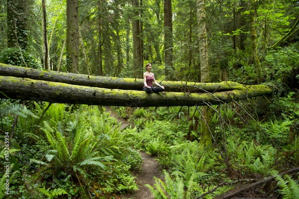 Obraz Forest Meditation