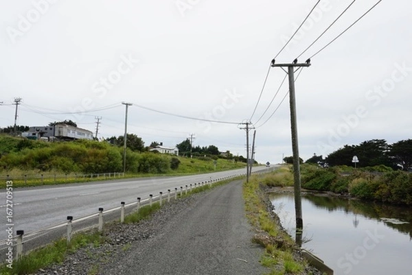 Obraz ニュージーランドの田舎道