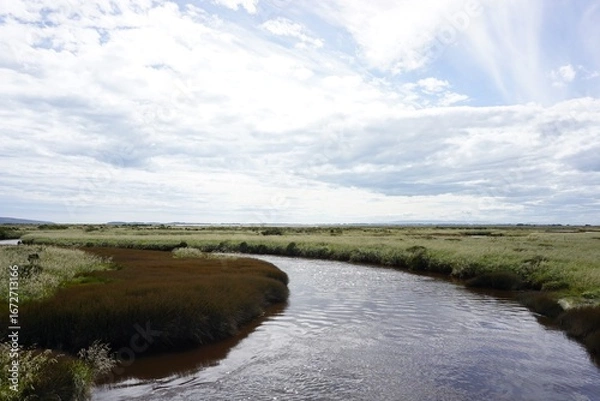 Obraz Invercargillの川　ニュージーランド