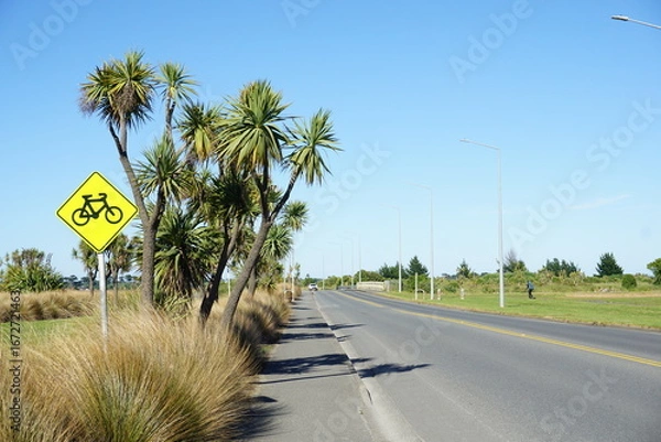 Obraz ニュージーランドの田舎道