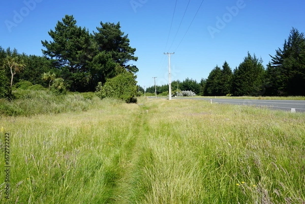 Obraz ニュージーランドの田舎道