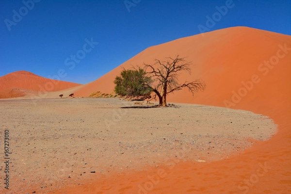 Obraz Namibia namib desert Sossusvlei