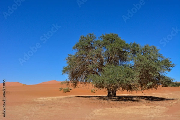 Obraz Namibia namib desert Sossusvlei