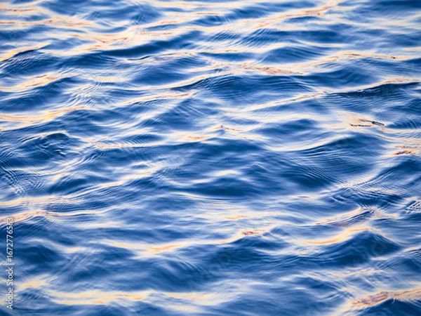 Obraz A close-up photograph of a deep blue water surface with gentle ripples and waves creating a mesmerizing and abstract texture the reflection of light adds a subtle golden hue