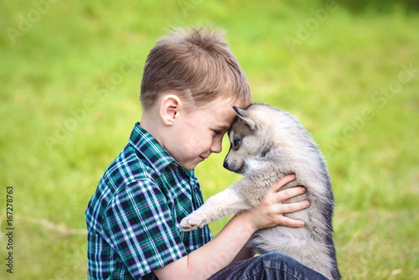 Obraz the boy with husky puppy