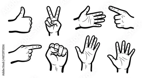 Fototapeta Hand drawn set of various hand gestures, including thumbs up, peace sign, pointing, and open palm, on an isolated white background.