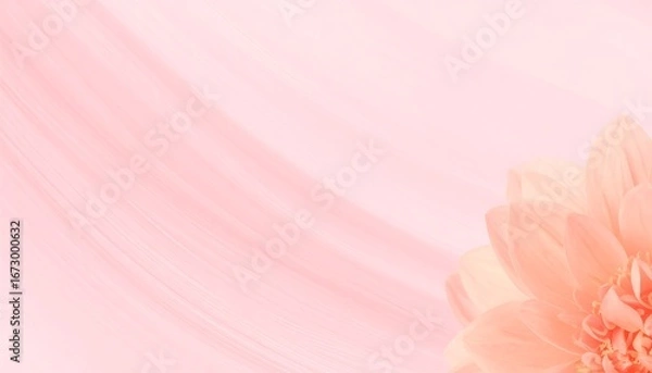 Fototapeta Soft Pink Flower Petals with Gentle Swirls Background.