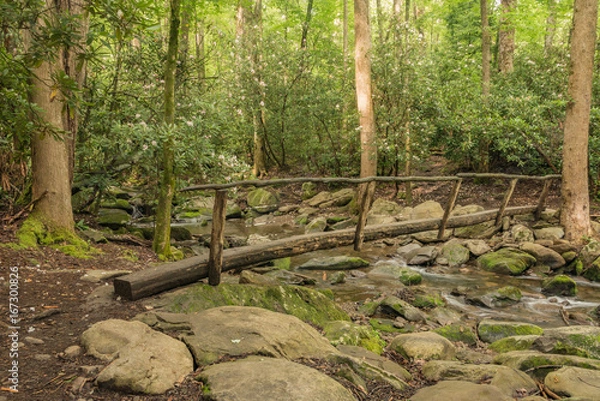 Fototapeta Mountain trail