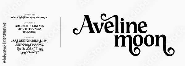 Obraz Elegant Fonts, Uppercase, Lowercase, and Numbers. Minimalist Fashion Design with Classic Letters. Typography, modern serif fonts, regular decorative vintage concepts. Fantasy illustrations, fairy tale