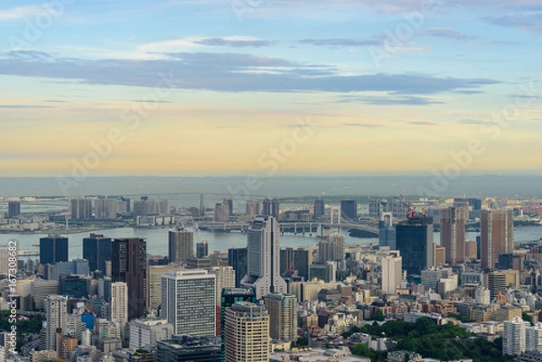 Obraz 東京の風景