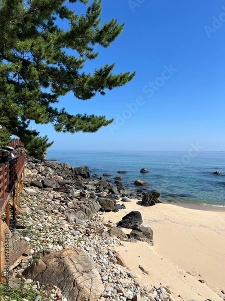 Fototapeta Fabulous view of the storm with a tree, waterfall Candle Rock Formation on the Coast of Gangwon Province, South Korea