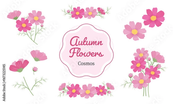 Obraz コスモスのイラスト素材セット