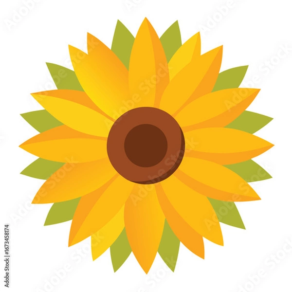 Obraz sunflower vector illustration