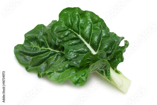 Obraz Burak cukrowy (boćwina)