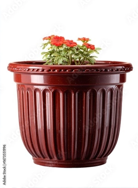 Obraz Deep maroon planter with small flowers