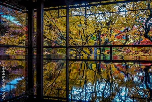 Fototapeta Beautiful autumn scenery in Kyoto, Japan