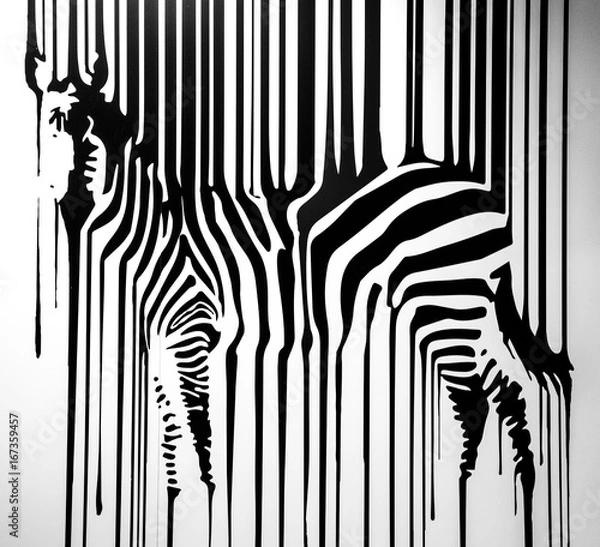 Fototapeta zebra