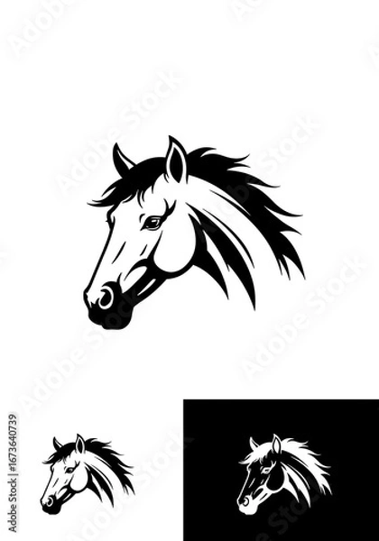 Obraz Equine Elegance in Monochrome