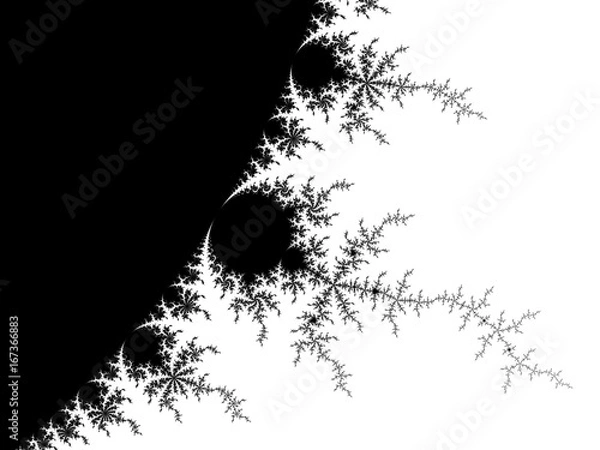 Obraz Monochrome, black and white graphics.