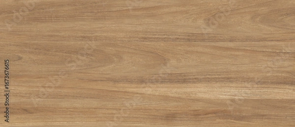 Obraz Natural Oak wood texture background