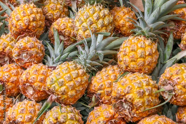 Obraz Ananas