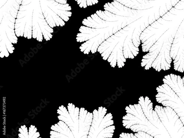 Obraz Monochrome, black and white graphics.