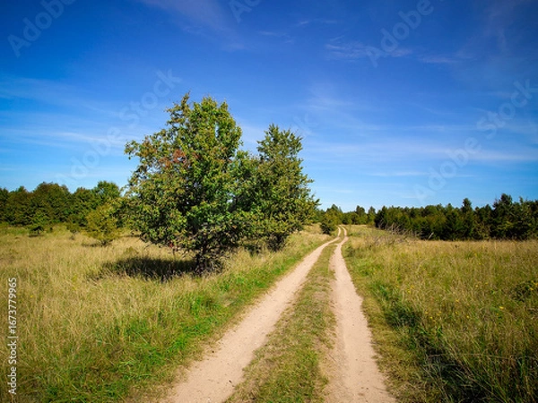 Obraz road in the field