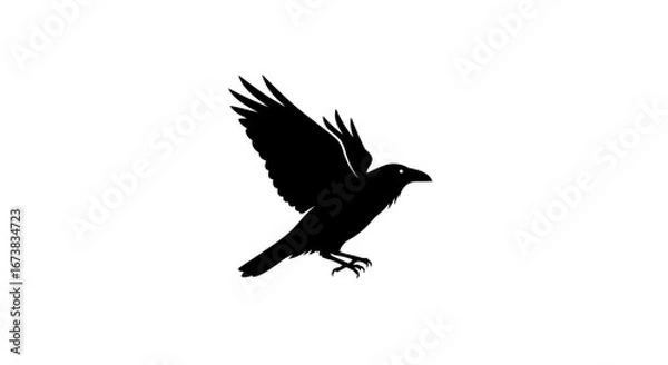 Obraz Black Crow Silhouette Flying with Spread Wings.