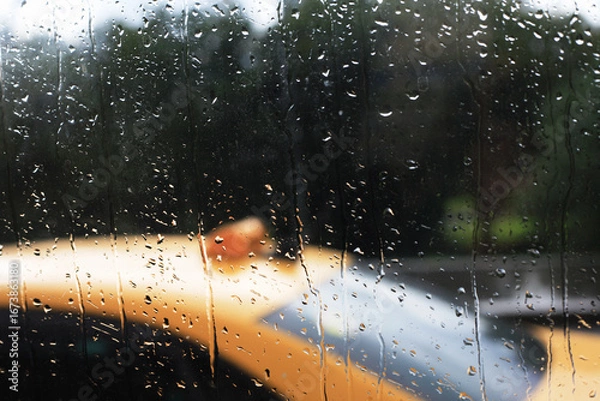 Obraz Rain In The City