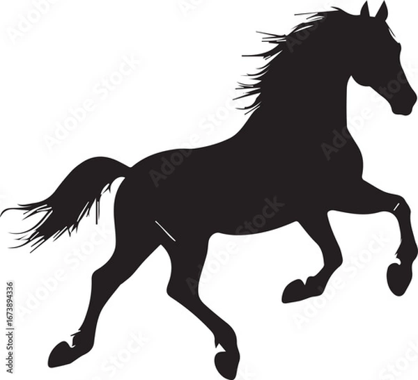 Obraz black horse vector illustration