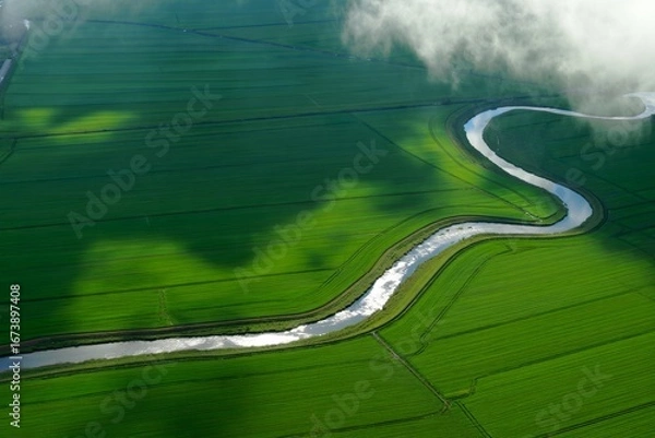 Fototapeta Expansive Green Fields Illuminated by Morning Sunlight with a Winding Waterway